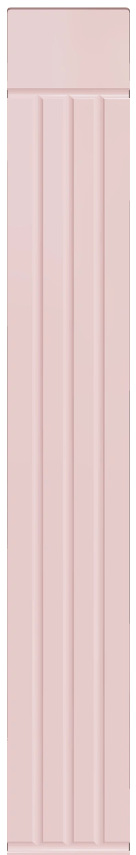 ROZ3 model